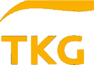 TKG Automotive