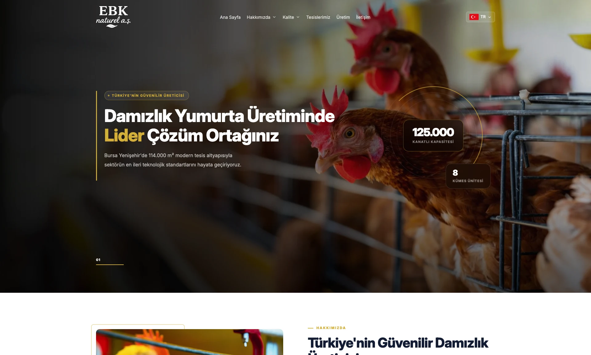 EBK Naturel sitesinin ana sayfası