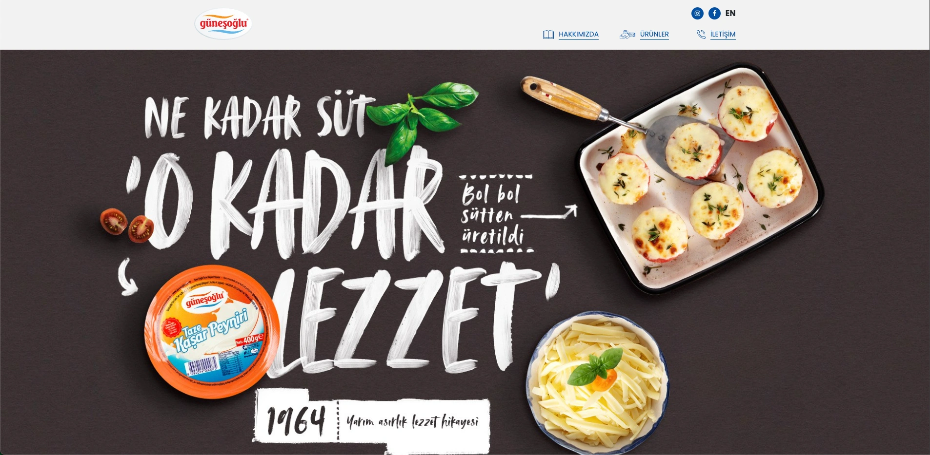 Güneşoğlu sitesinin ana sayfası